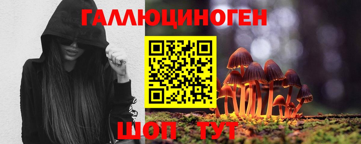 Псилоцибиновые грибы Magic Shrooms Гай